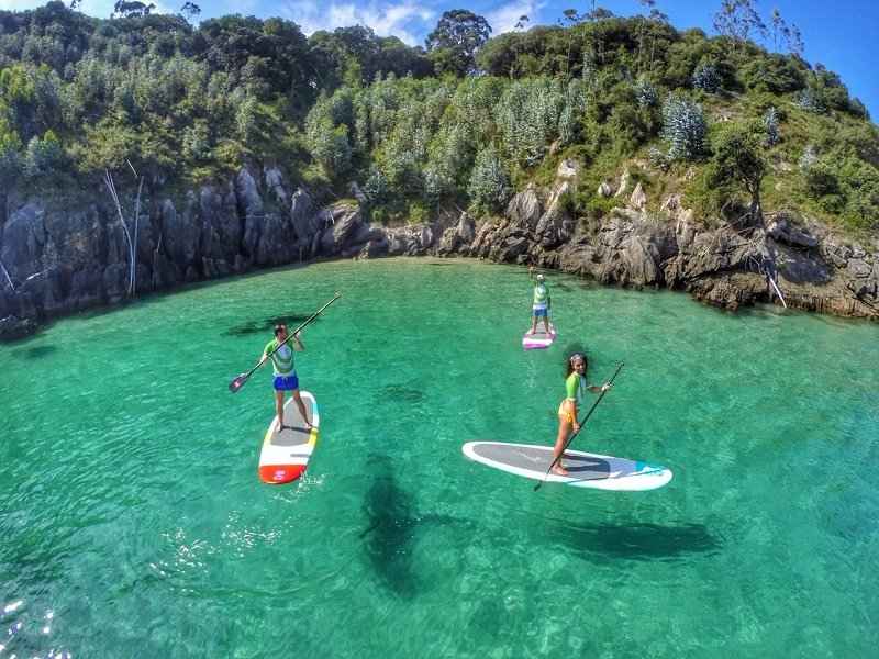 paddle surf