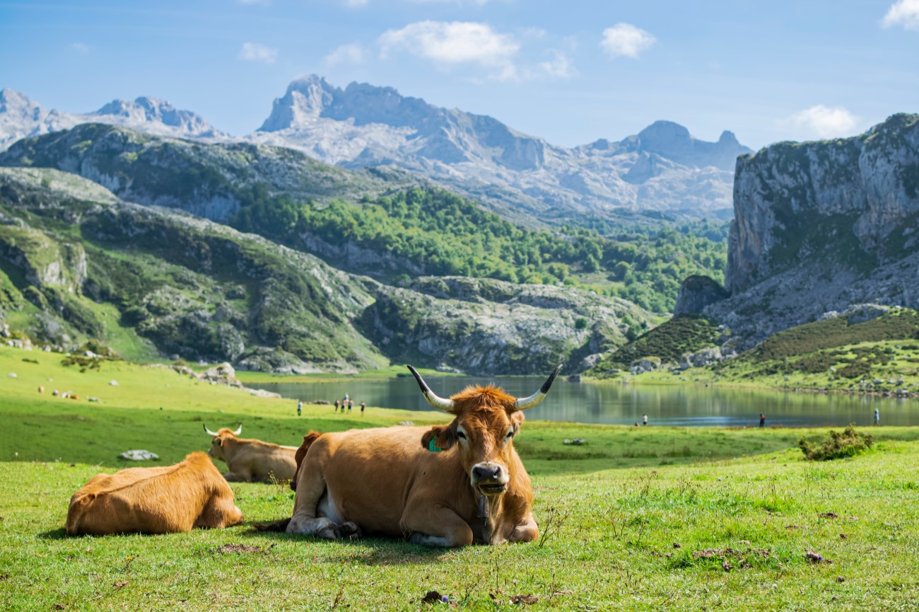 Senderismo en Asturias